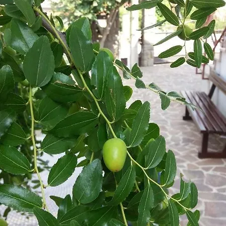 Apartmaji V Izoli Babic, Simonov Zaliv Διαμέρισμα Izola